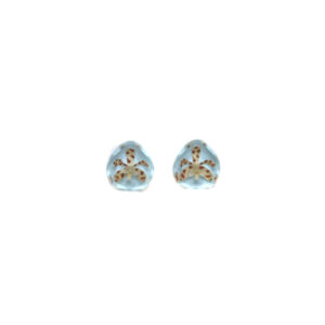 Aretes semilla celestes