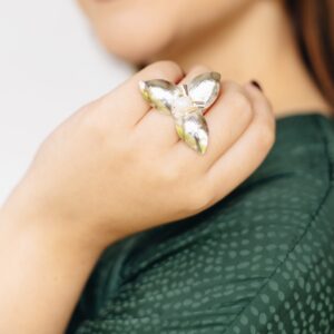 Anillos